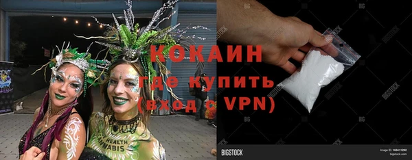 шишки Дмитриев