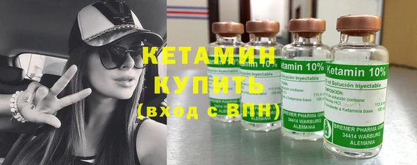 шишки Дмитриев