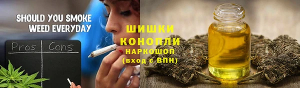 шишки Дмитриев
