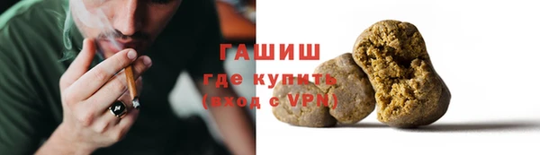 шишки Дмитриев