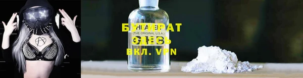 шишки Дмитриев