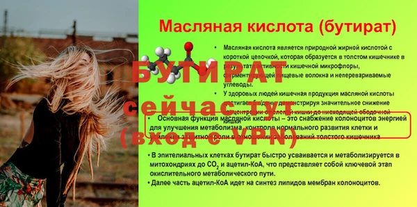 шишки Дмитриев