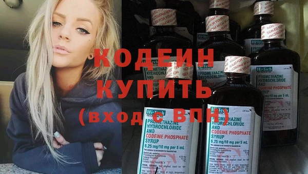 шишки Дмитриев