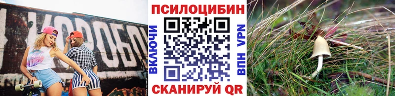 Купить  Правдинск  Галлюциногенные грибы GOLDEN TEACHER 